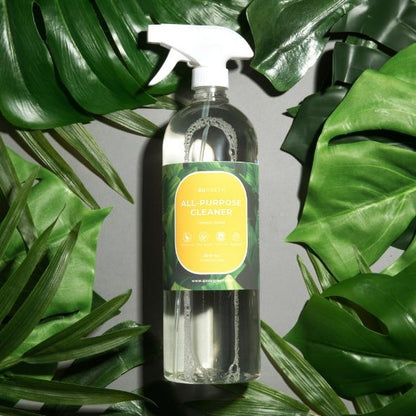 Plant-Based All-Natural Surface Cleaner